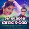 About Tame Jadi Gadhidia Mo Paain Balighara (From Samaya Kheluchi Chaka Bhaunri) Song